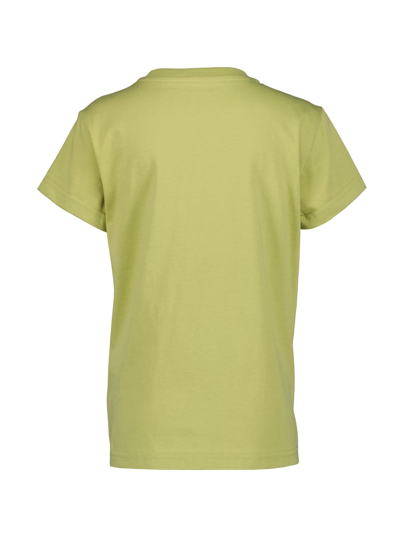 Didriksonsin lasten ja nuorten Mynta logo t-paita vaaleanvihreässä sävyssä takaa kuvattuna