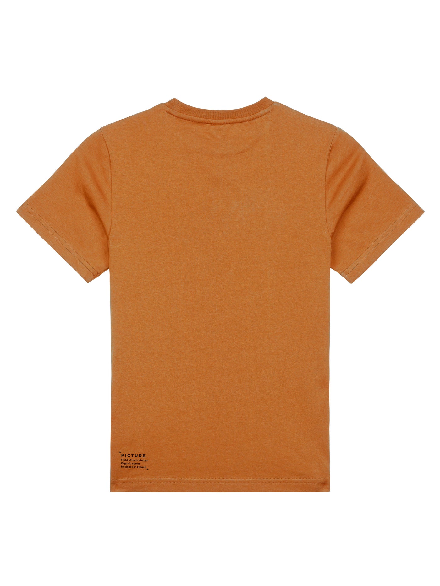 Picture Organicin Basement t-paita värissä Nutz takaa kuvattuna