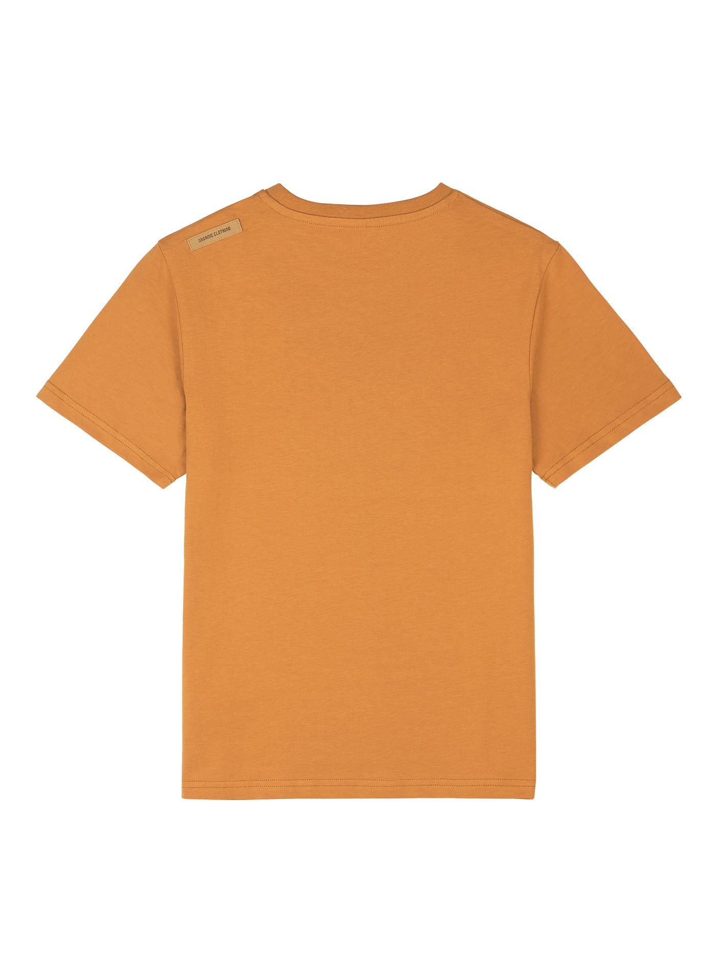 Picture Organicin Nausta lasten ja nuorten t-paita pumpkin sky värissä takaa kuvattuna